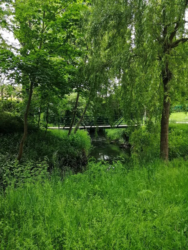 Ruisseau sous les saules au printemps, herbes hautes et petite passerelle au loin